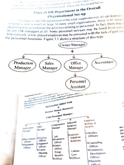 HRM Flow Charts and History | PDF | Human Resource Management | Employment
