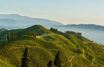 Beautiful 6 Days 5 Nights Gangtok, Tsomgo Lake with Darjeeling Trip ...