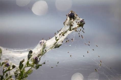 オーストラリア東部で大雨による大規模な…：世界と日本の「超常現象」 写真特集：時事ドットコム