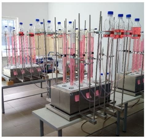 The Impact of Sewage Sludge-Sweet Sorghum Blends on the Biogas ...