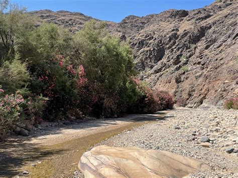 FEYNAN WILD CAMP (2026) All You Need to Know BEFORE You Go (with Photos ...