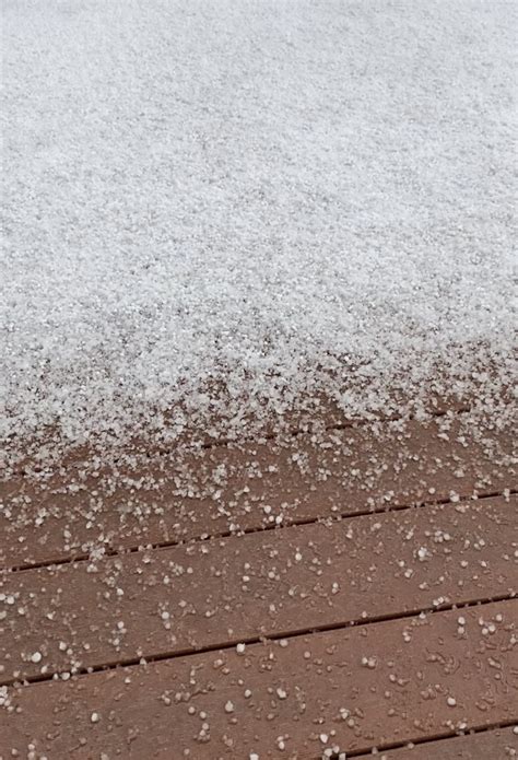 Thunder Sleet 的图像结果