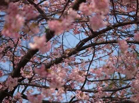 Image result for Java Lambda Expression Stream Map