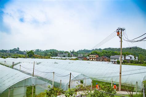 优化案例 | 璧山黛山大道多路口双向绿波优化升级 - 知乎