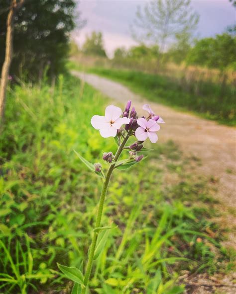Shale Hollow Park : r/Columbus
