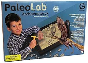 Geoworld Paleo Lab Archaeopteryx Fossil Replica Paleontologist Kit ...