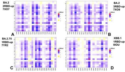 Comparative Analysis of Conformational Dynamics and Systematic ...