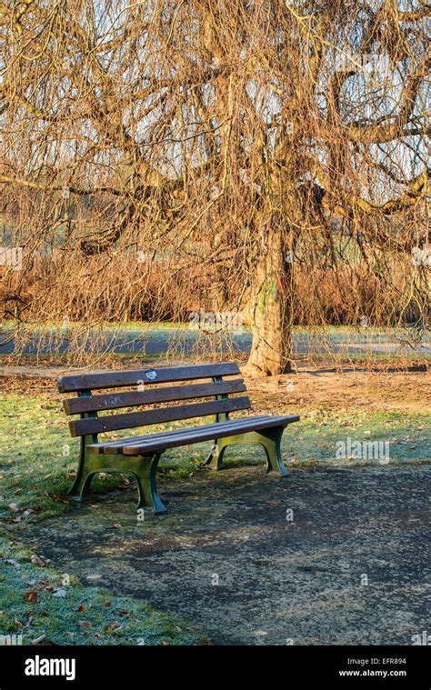 Nature Trail 的图像结果