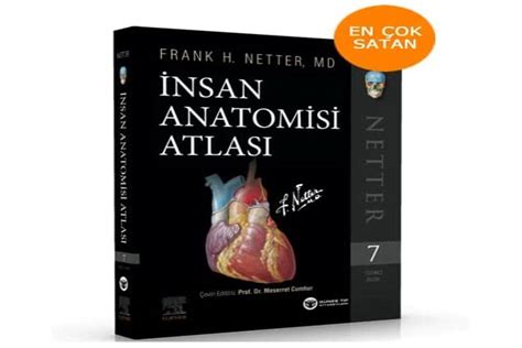 Buy Insan Anatomisi Atlasi (Netter Basic Science) Book Online at Low ...
