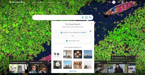 Bing Advanced Image Search 的图像结果