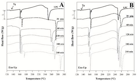 Structural Modification of Jackfruit Leaf Protein Concentrate by ...