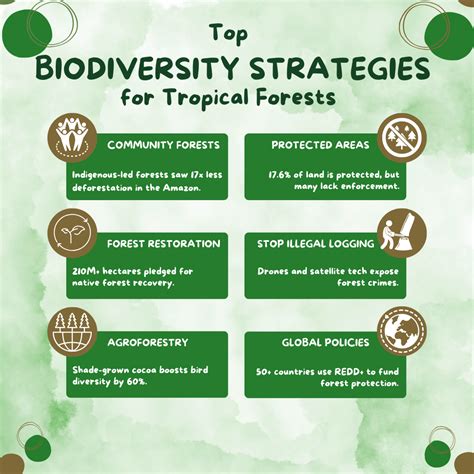 Effective Biodiversity Conservation Strategies For Tropical Forests - Sigma Earth