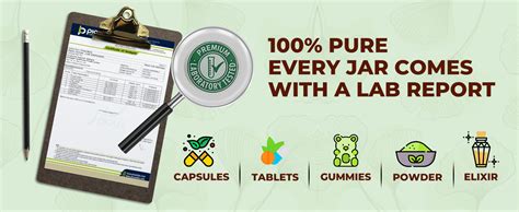 Simply Herbal Ginkgo Biloba 120mg With Bacopa Monnieri Extract Brahmi ...