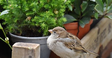 How to calculate your HRA Tax Exemption | The Wealth Architects