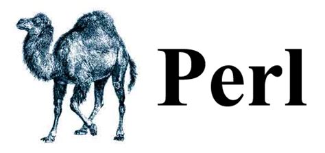 Image result for Perl Example for Kid