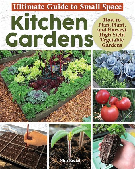 Buy Ultimate Guide to Small Space Kitchen Gardens: How to Plan, Plant ...