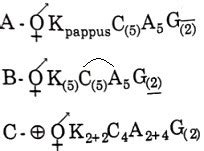 Three floral diagrams are given here. Their respective families are ...