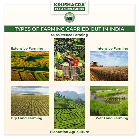 Intensive Commercial Farming Govt Should Boost Green Revolution 2.0