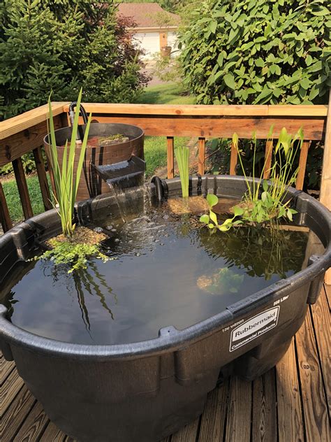Above Ground Pond Animals Building A Nice Above Ground Koi Pond