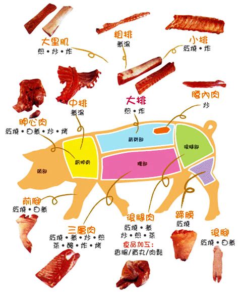 豬肉部位名稱圖解 @ 河畔小築 :: 痞客邦