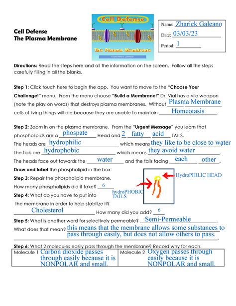 Kami Export - Zharick Galeano - cell defense virtual lab - Cell Defense ...