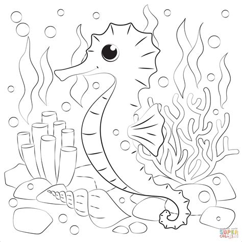 Seahorse Coloring Page