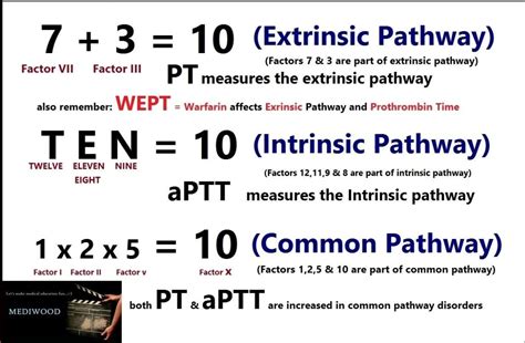 Extrinsic Value and Intrinsic Value | Options Trading | tastytrade