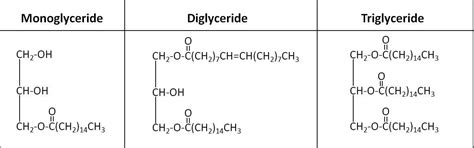 what are glycerides?? - Brainly.in