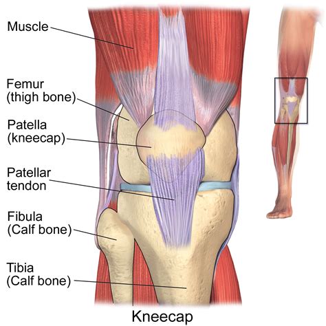 Runner's Knee Causes And Treatment | [𝗣]𝗥𝗲𝗵𝗮𝗯 | Knee