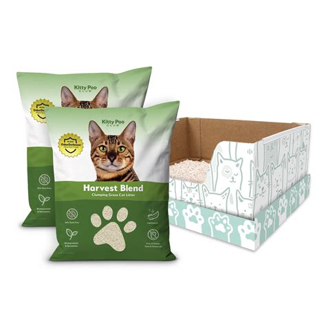 Collections | Kitty Litter Subscription – Kitty Poo Club