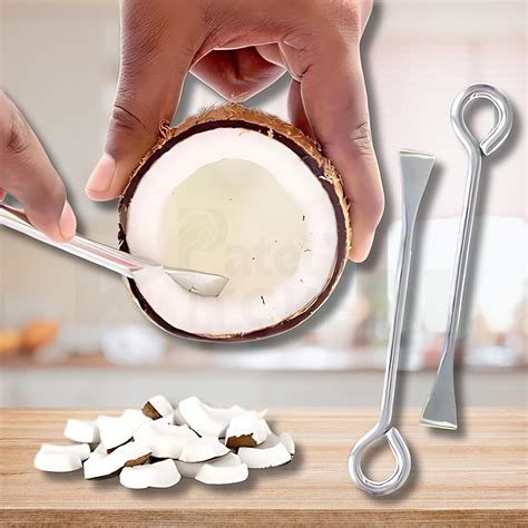 PATEL'S KITCHEN Stainless Steel Coconut Breaker, Coconut Cutter ...