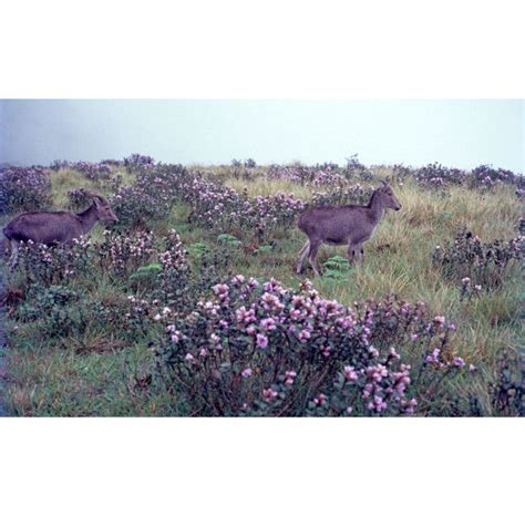 This Surreal Place In 'Kerala' With A Stunning View Is A Paradise For