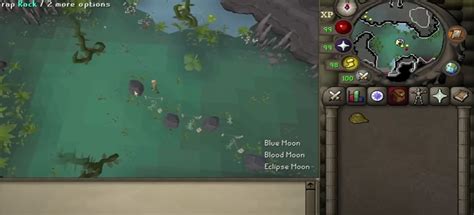 Complete 1-99 Hunter Guide for OSRS