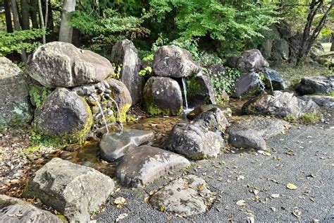 Image result for Random Variable of Intrest Examples
