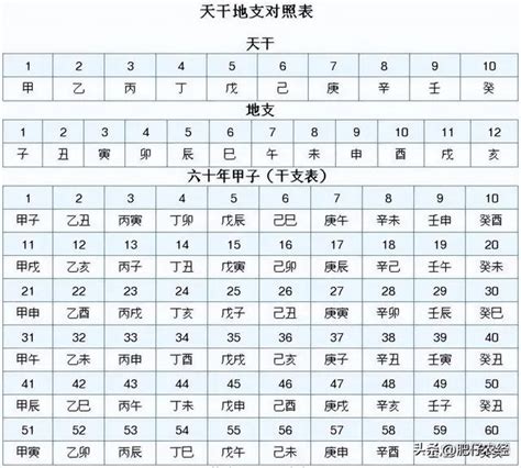 明年癸卯兔年不一般，双春闰月黑兔年，有啥说法？一起了解下 – 今日焦点