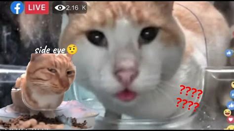Image result for Swift Code Example On CC