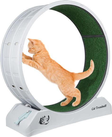 Amazon.com: Cat Exercise Wheel for Indoor Cats - Sergamy 39.4 Inch Cat ...