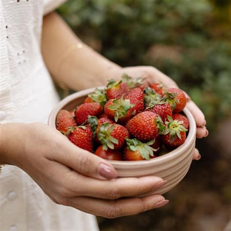 Buy Stylish Rimmed Bowl | Online in India | Lagavi