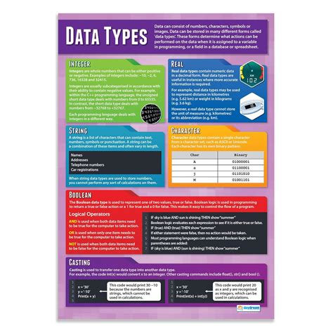 Daydream Education Computer Science Data Types Poster for Classroom ...