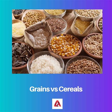 Butter vs Margarine: Difference and Comparison