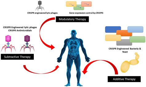 CRISPR-Cas9 System: A Prospective Pathway toward Combatting Antibiotic Resistance
