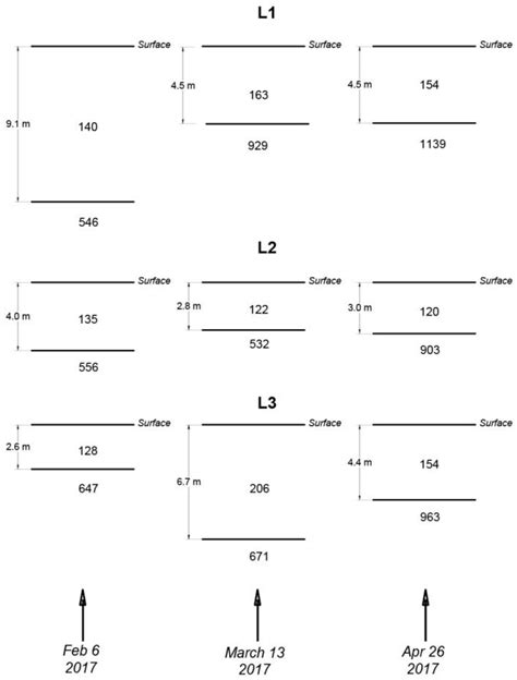 Unraveling the Dynamics of a Creeping Slope in Northwestern Colombia ...