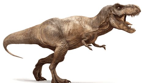 为什么上亿年的恐龙没有产生文明，两百万年的人类却产生了文明？_凤凰网科技