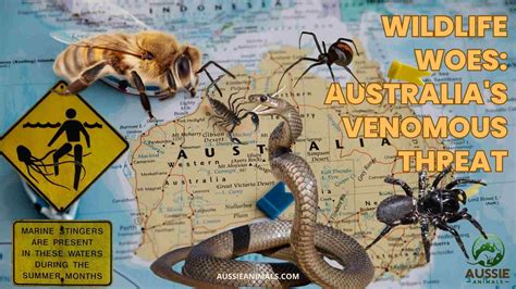Australian Wildlife Resources Discover Guides and Conservation Insights