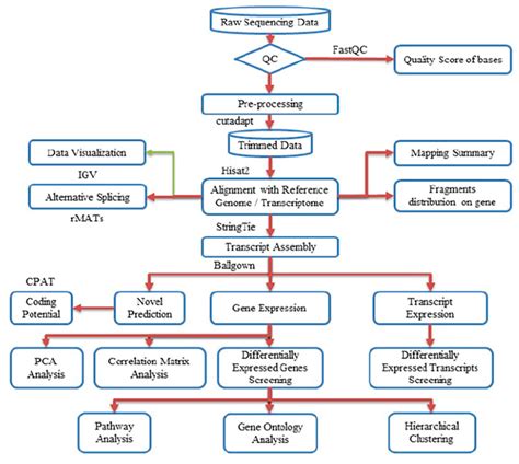 Whole-Genome Uterine Artery Transcriptome Profiling and Alternative ...