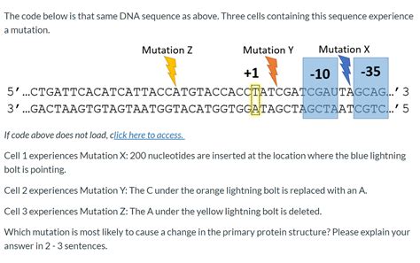 How to Code DNA Sequence Practice 的图像结果