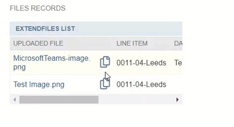 Image result for How to Extend Files