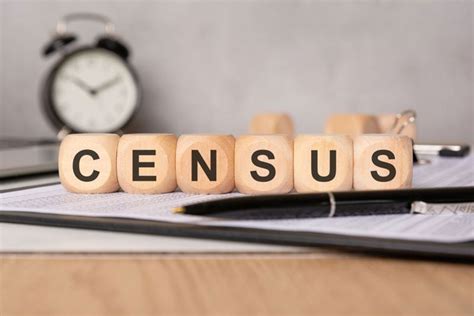 Census portal clarifies on counting of phones, live-in definition in ...