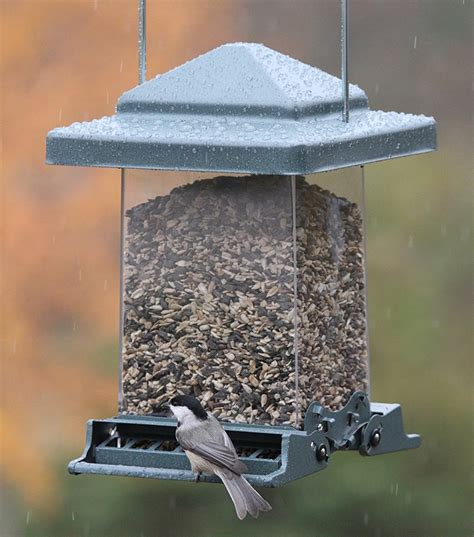 Best Bird Feeder Audubon at Greg Booth blog