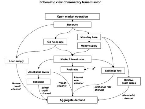 Monetary Economic Vector 的图像结果